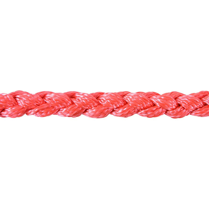 Classic Braided Halter with 8' Lead Rope