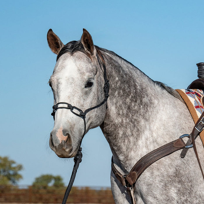Classic Equine Black Chain Link Rope Halter