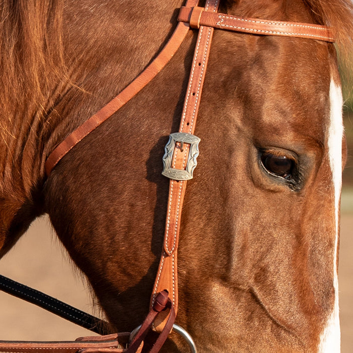 Martin Saddlery Harness Leather Prescott Buckle Browband Headstall