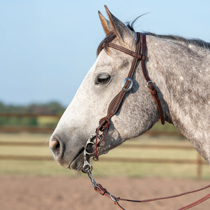 Martin Saddlery Chocolate Roughout Browband Headstall with Rosettes Strings