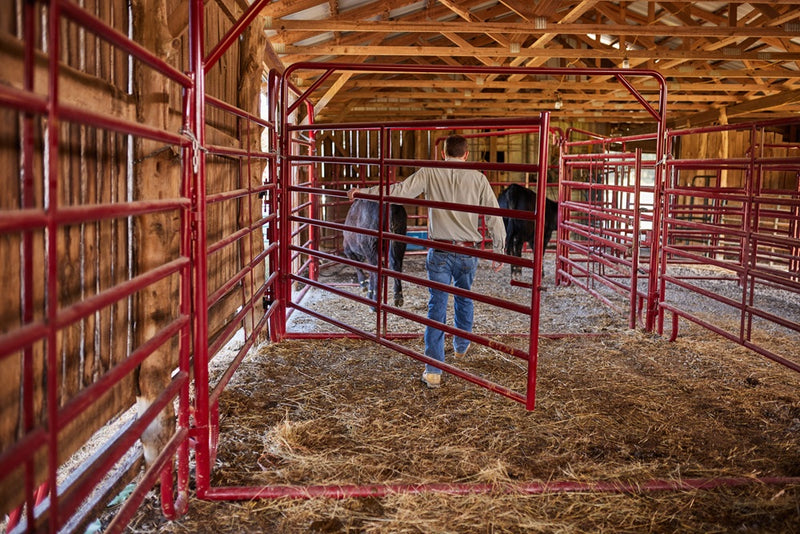 Tarter Cattlemaster Bowgate 10ft x 8ft