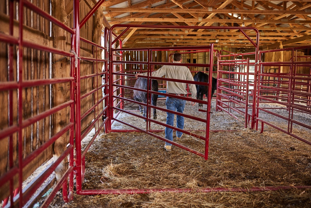 Tarter Cattlemaster Bowgate 10ft x 8ft