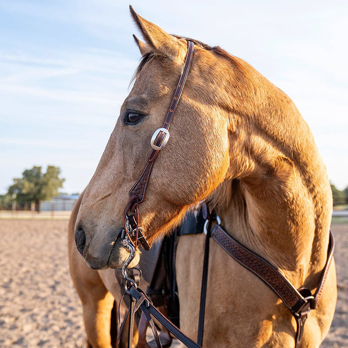 Martin Saddlery Weathered Antique Single Ear Headstall with Latigo Ties