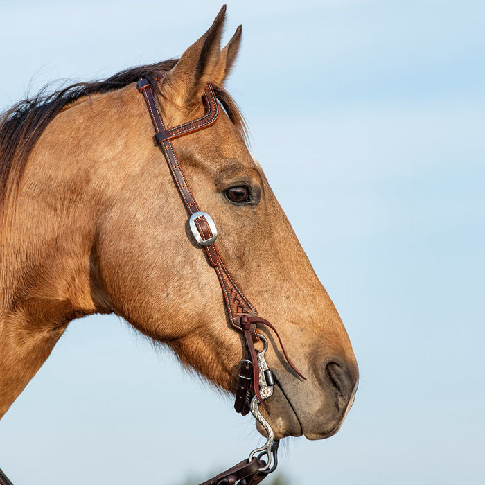 Martin Saddlery Weathered Antique Single Ear Headstall with Latigo Ties