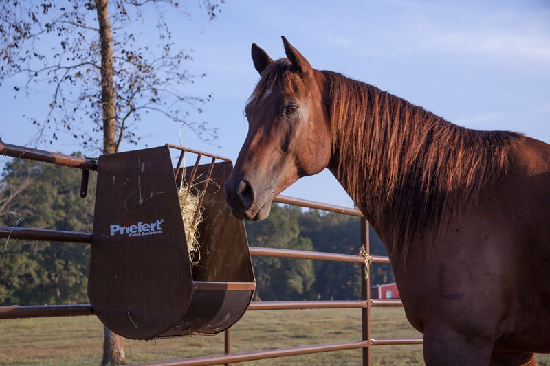 Priefert Hay and Grain Feeder