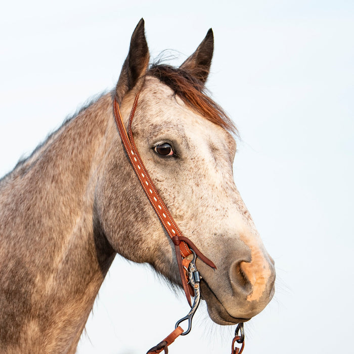 Martin Saddlery Ranahan Series Buckstitch Stamped Split Ear Headstall