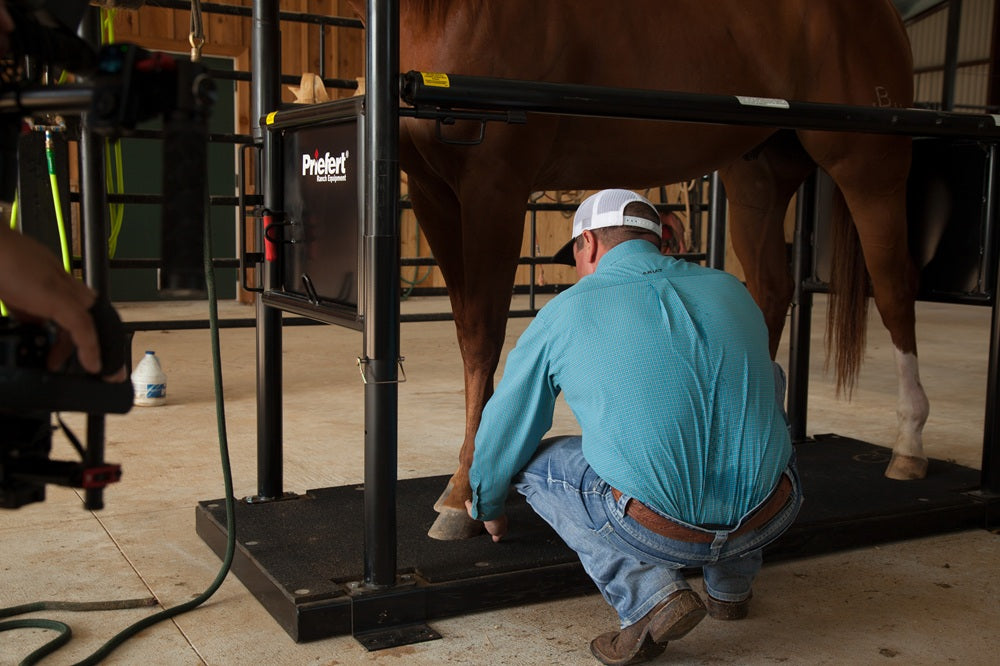 Priefert Horse Stock Complete