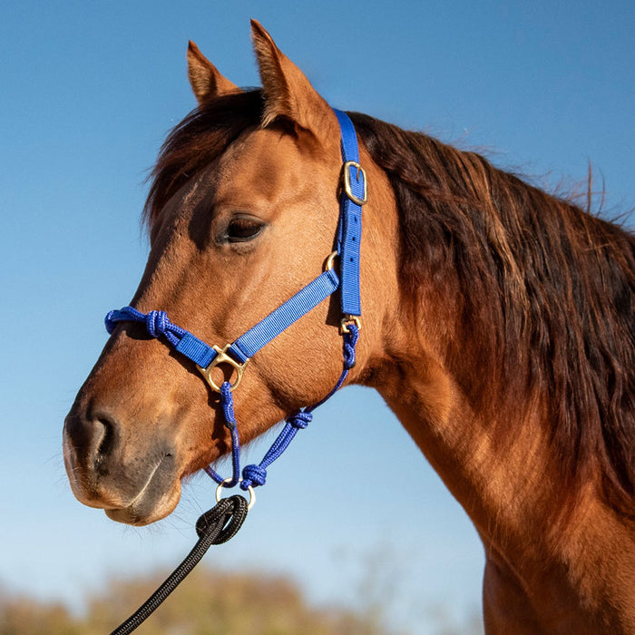 Cashel Company Nylon Rope Combination Halter