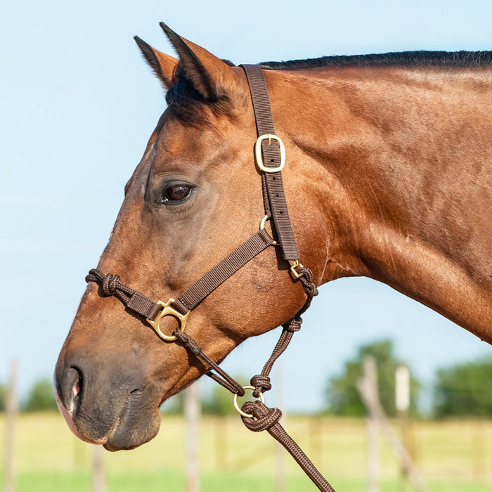 Cashel Company Nylon Rope Combination Halter