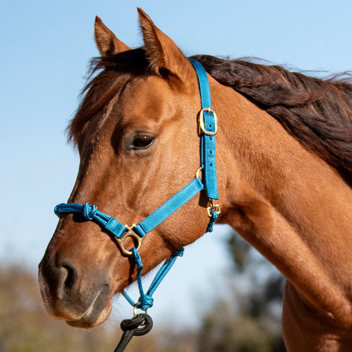 Cashel Company Nylon Rope Combination Halter