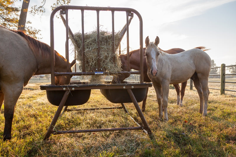 Priefert Pre-Assembled Pasture Horse Feeder