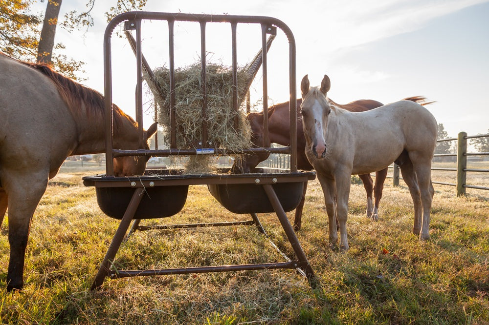 Priefert Pre-Assembled Pasture Horse Feeder