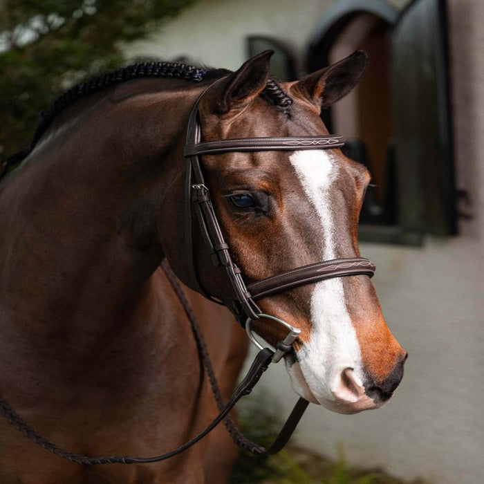 Lemieux Hunter Stitched Bridle with Laced Reins