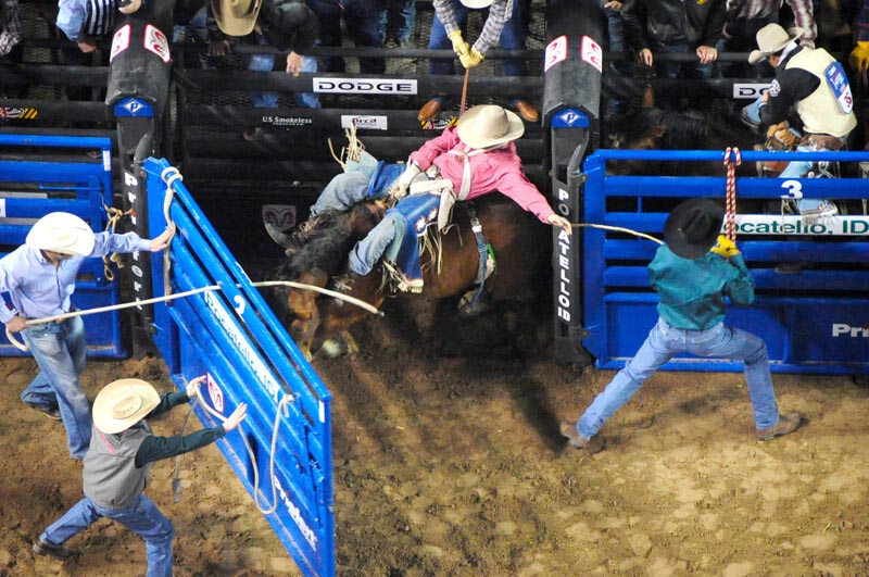 Priefert Bucking Chute Right Side