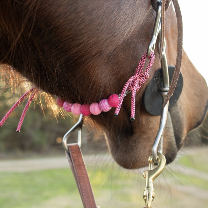 NRS Pink Cactus Silicone Beaded Gag Bit Curb Strap