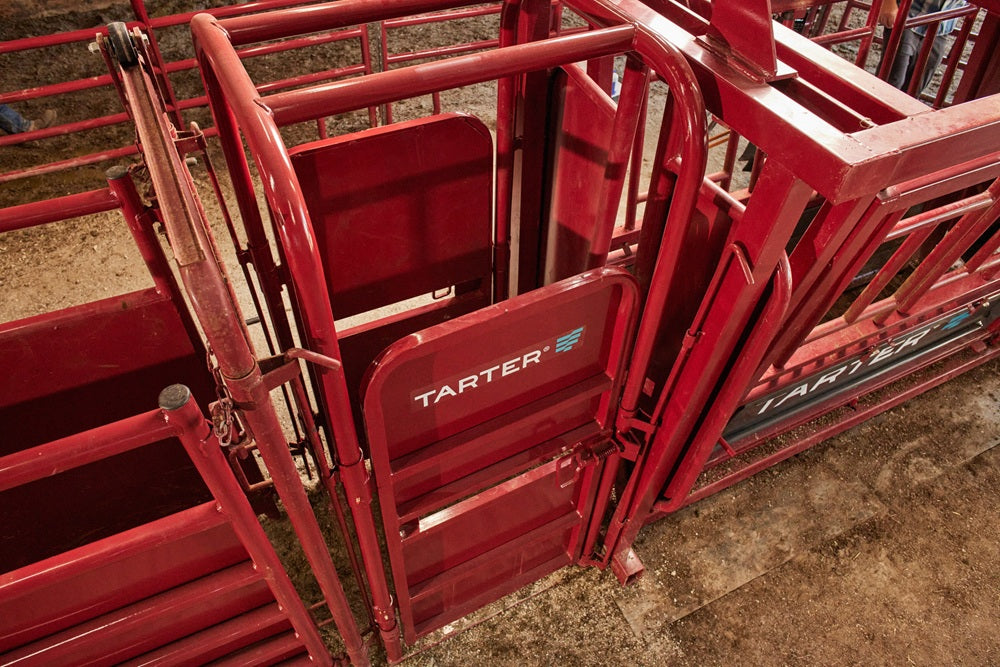 Tarter Cattlemaster Palpation Cage
