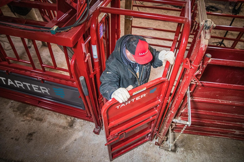 Tarter Cattlemaster Palpation Cage