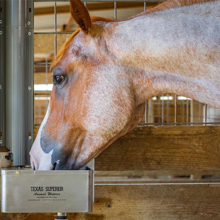 Texas Superior Standard Animal Waterer