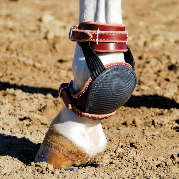 Tod Slone Saddle Company Horse Skid Boots - Large