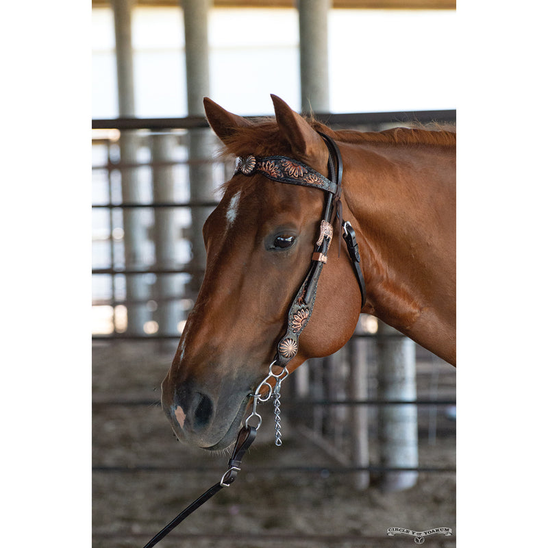Circle Y Saddlery 5/8 Inch Vintage Chocolate Sunflower Browband Headstall