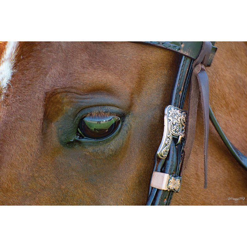 Circle Y Saddlery 5/8 Inch Vintage Chocolate Sunflower Browband Headstall