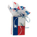 Texas Gift Bag with Texas Tissue Paper
