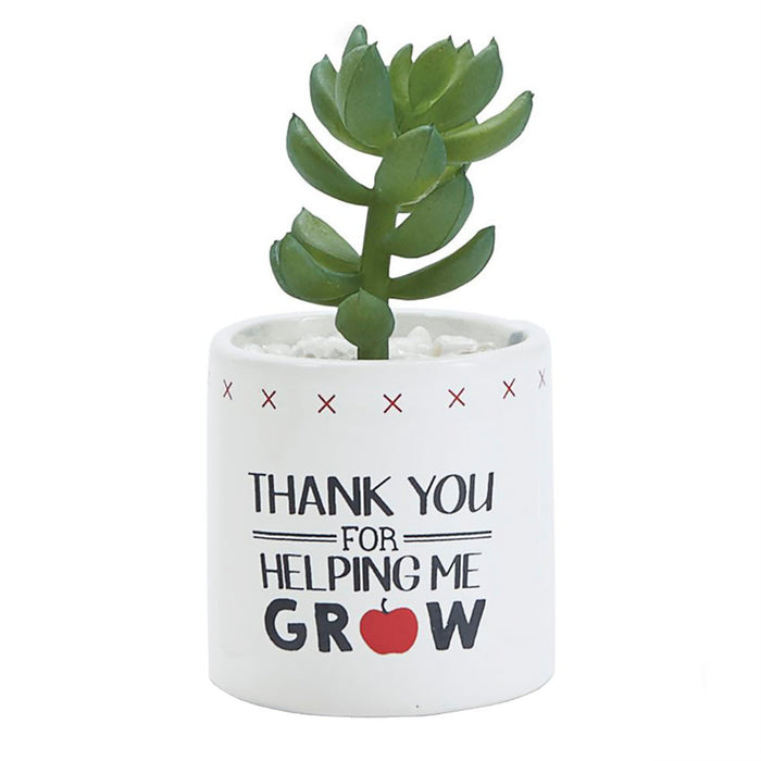 Mud Pie Artificial Thank You Succulent