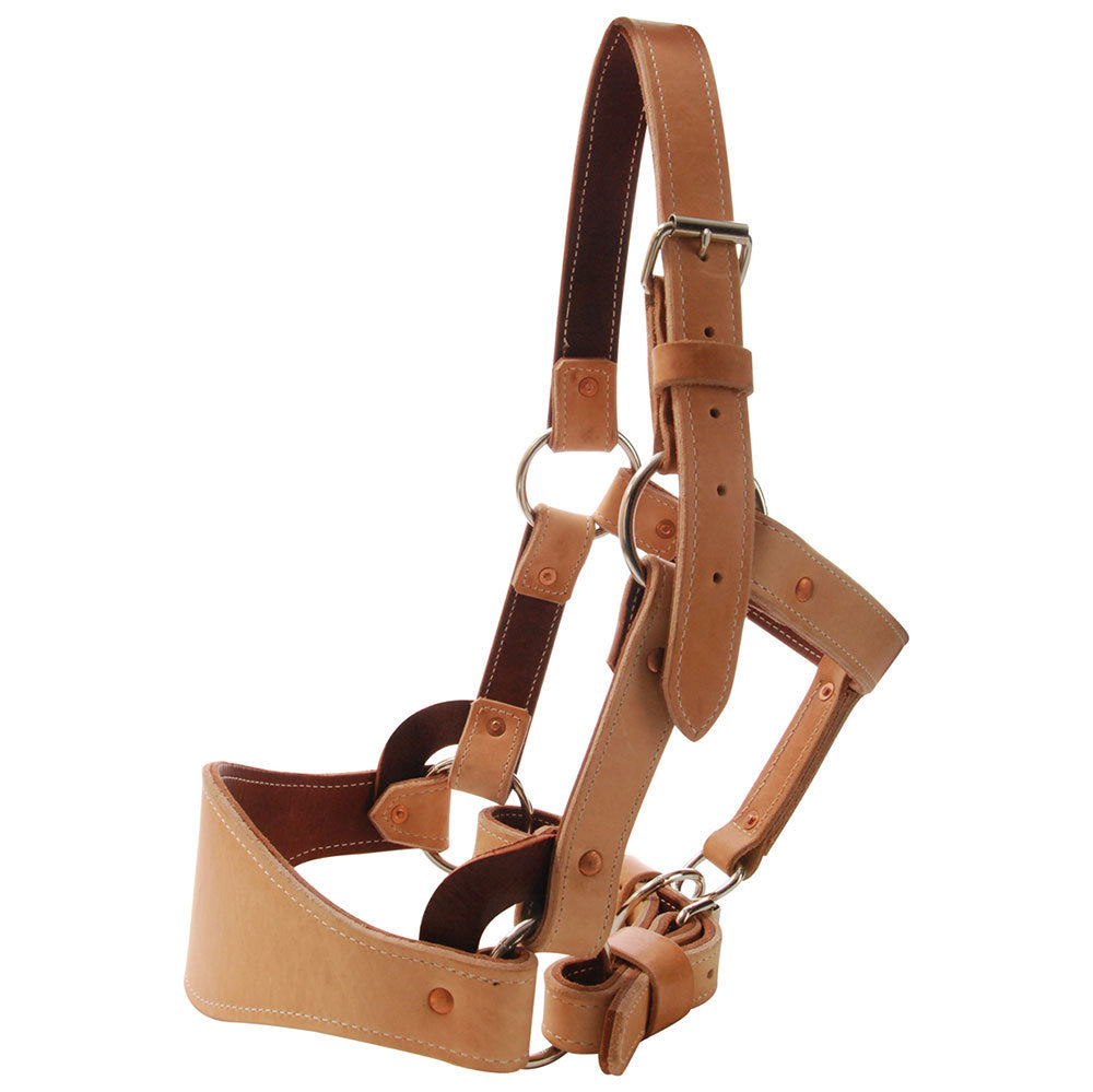 BM  Bronc Halter - Saddle Bronc Riding; Leather